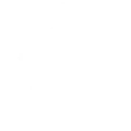 Medal icon